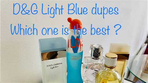 dupe for d&g light blue.